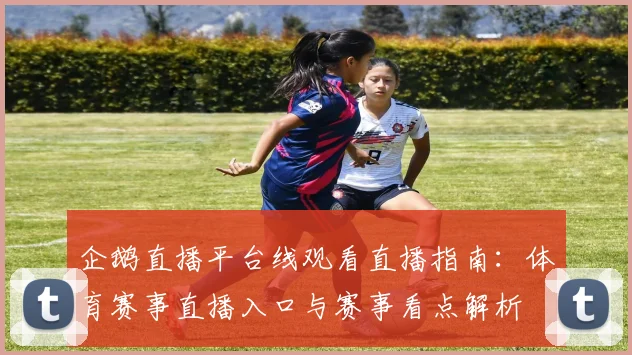 企鹅直播平台线观看直播指南：体育赛事直播入口与赛事看点解析