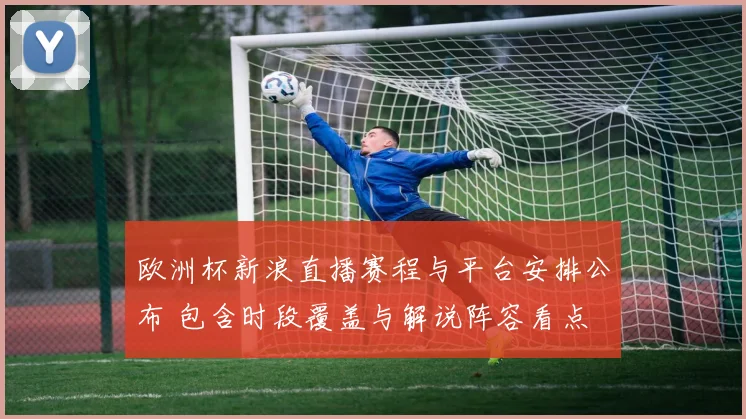 欧洲杯新浪直播赛程与平台安排公布 包含时段覆盖与解说阵容看点
