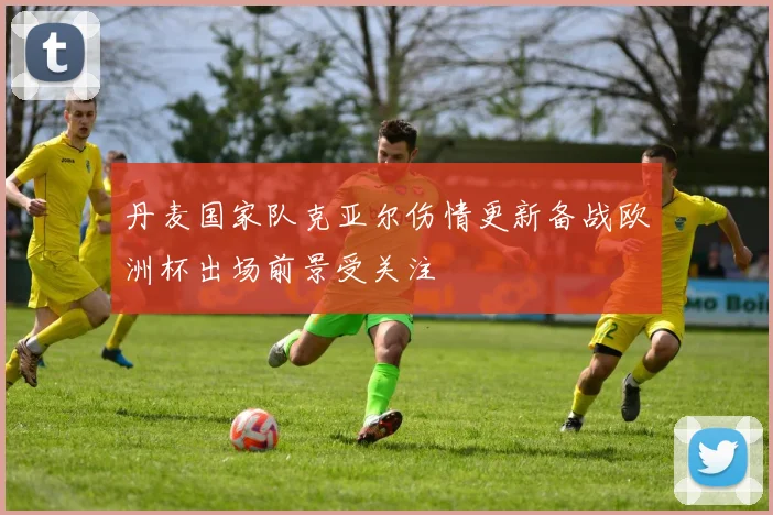 丹麦国家队克亚尔伤情更新备战欧洲杯出场前景受关注