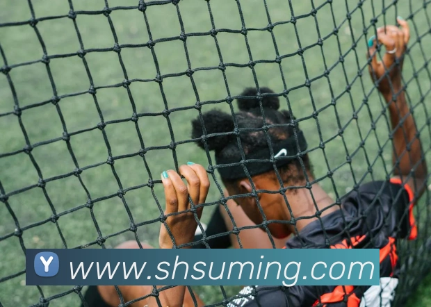 开云官方在线登陆入口APP 封面图